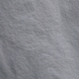 Libellule Grey, gelatine sized, 200g/m², 95lb imperial